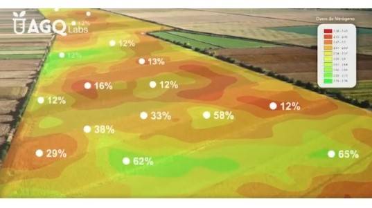 Pistacho: estudios previos que se deben realizar antes de la plantación