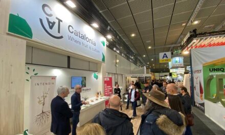 INTENSIA, un nuevo portainjerto de almendro-melocotonero «adaptado a los nuevos tiempos»