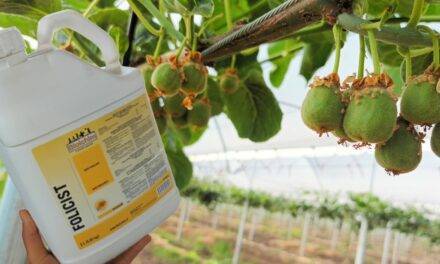 FOLICIST, el bioestimulante que potencia la rentabilidad en frutales y hortalizas