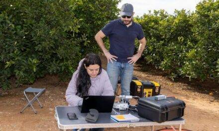 Proyecto SENSOPLAG, una nueva herramienta digital contra plagas en cítricos