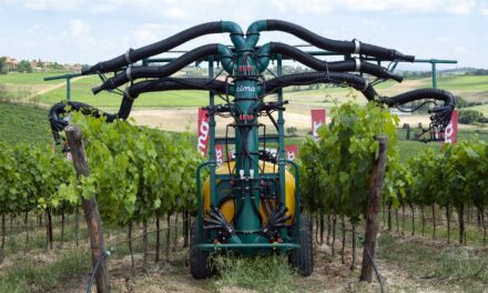 Cultivo de viña: el mejor tratamiento es con el cabezal MULTI – VITIS 6 de CIMA SpA