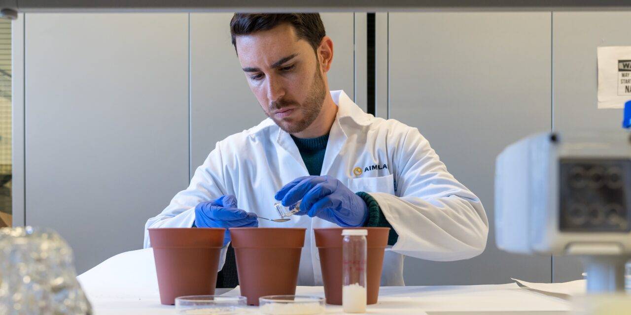 AIMPLAS desarrolla hidrogeles a partir de algas marinas que retienen el agua para mejorar el rendimiento de los cultivos