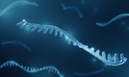 Micro ARN156, el secreto de la regulación de muchos genes