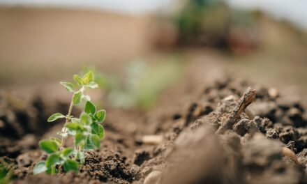 John Deere se alía con EIT Food para fomentar la descarbonización del campo
