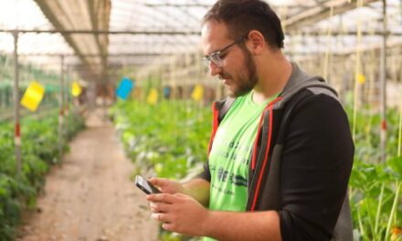 Una nueva aplicación optimiza el trabajo y los recursos naturales para la agricultura