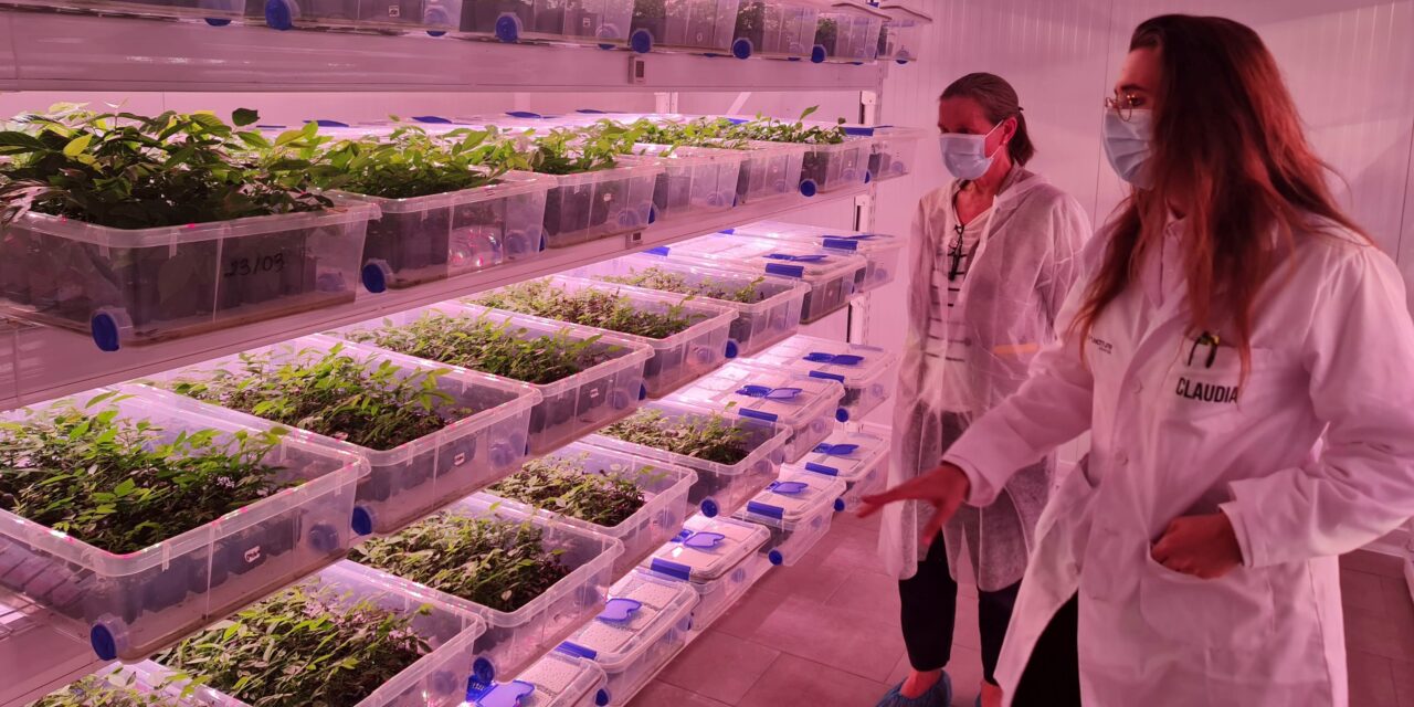 laboratorio vivero nogales