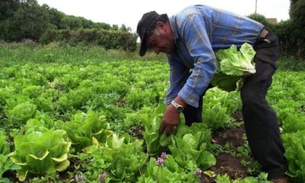 5 de junio, Día Mundial del Medio Ambiente