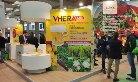 Asegura el crecimiento del cultivo y el engorde de frutos con NOV@ de Biolchim