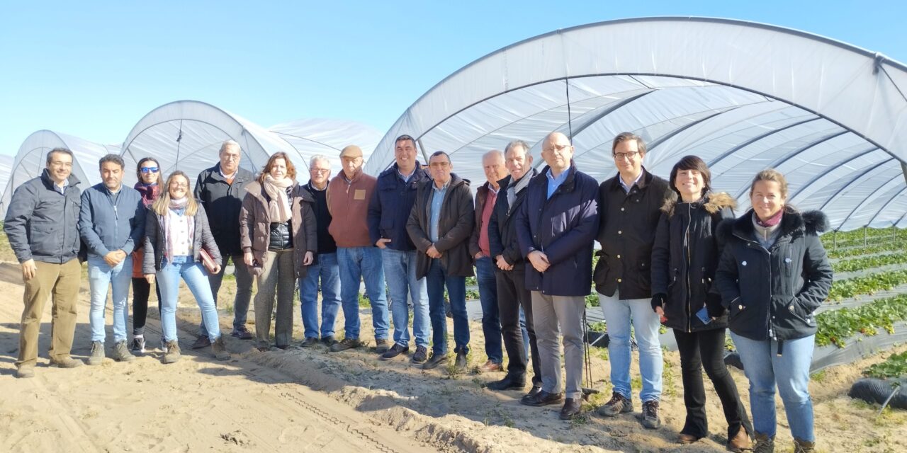 Acuerdo entre Freshuelva e IFAPA para ensayos de alternativas en desinfección de suelos
