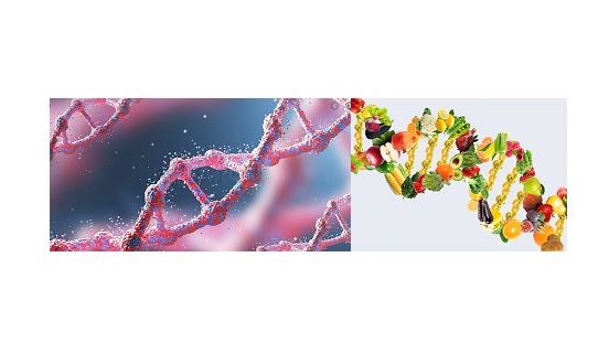 La epigenética en la horticultura