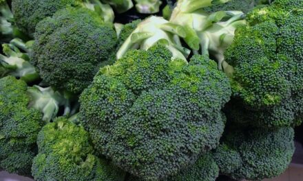 El óxido nítrico aumenta la disponibilidad y movilización del hierro en el brócoli