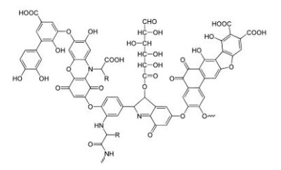 alga ácidos húmicos