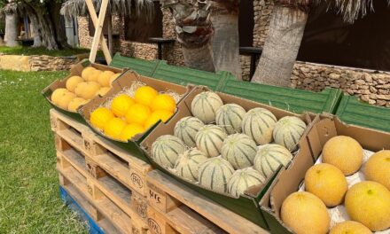 El Melon Show Murcia 2023 de Semillas Fitó