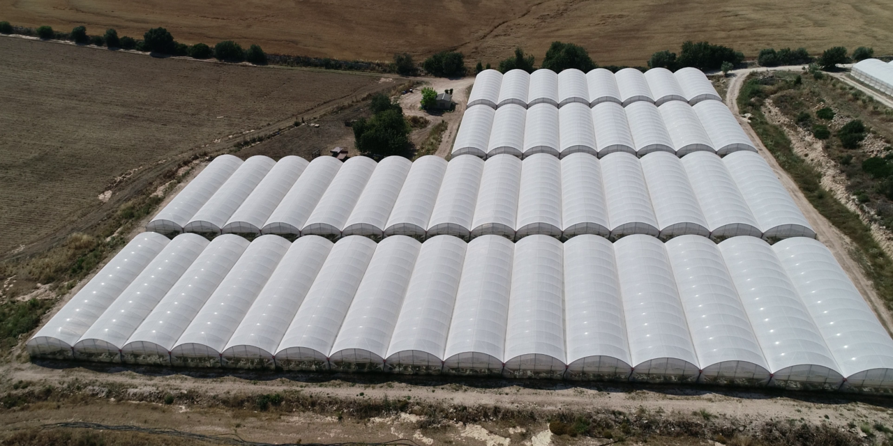 Water saving and extreme drought, Arrigoni comes out top in an independent test 