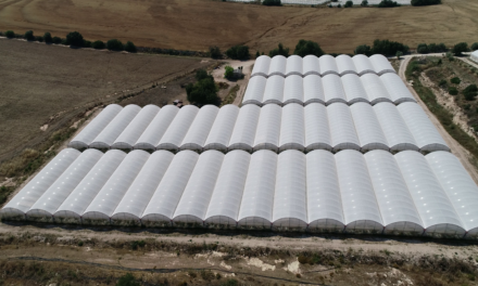 Ahorro hídrico y sequía extrema, Arrigoni triunfa en un test independiente 