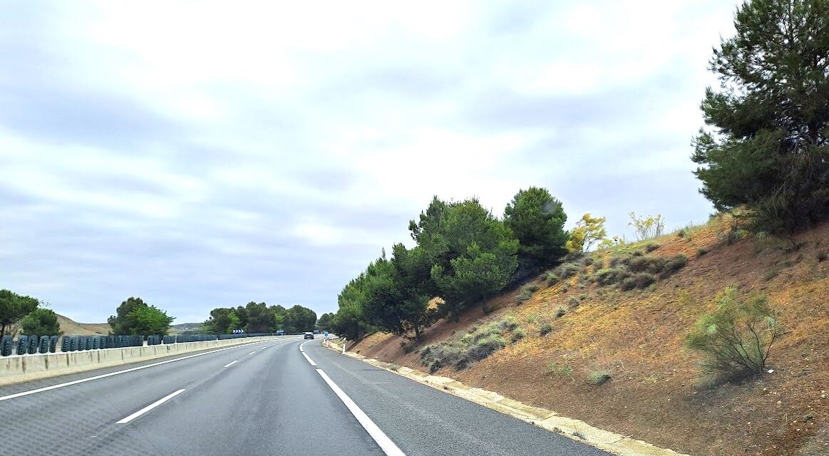 Bosques: algunas cifras