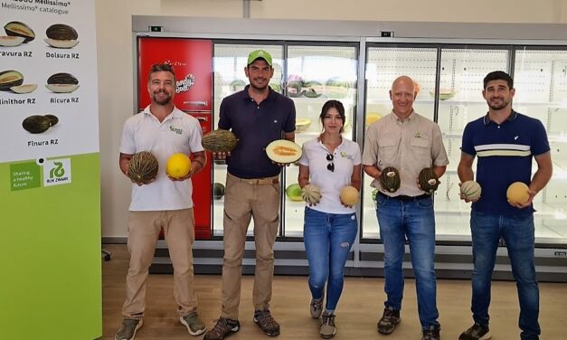 En los nuevos melones de Rijk Zwaan hay mucho sabor y seguridad