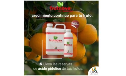 LIDA Plant Research lanza su nuevo producto Frutnova, para el crecimiento continuo del fruto