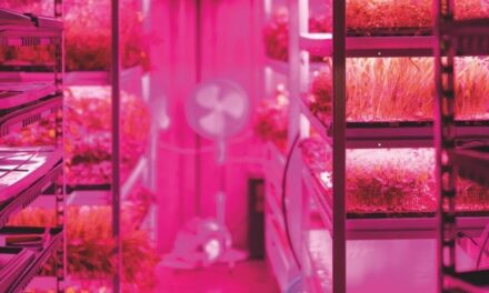 En Bélgica mejoran la capacidad de producción con el Leaf Carrier