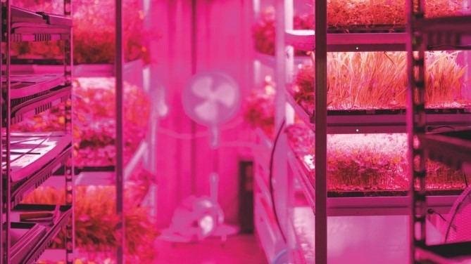 En Bélgica mejoran la capacidad de producción con el Leaf Carrier