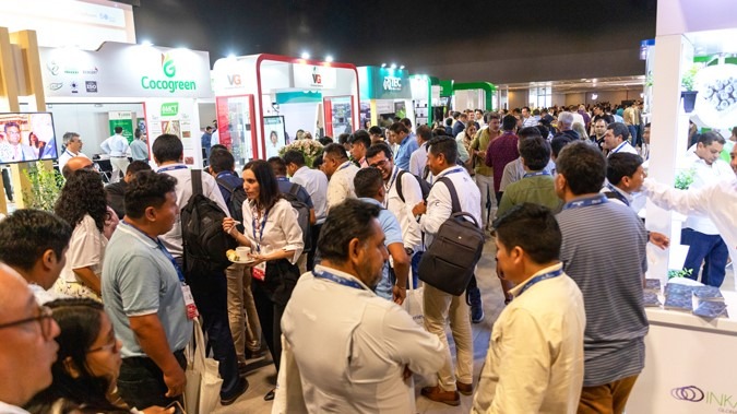 Blueberries Consulting reunirá a la industria del arándano en Marruecos