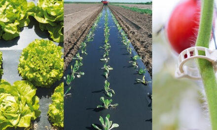 Novamont Iberia, partner del Colegio Oficial de Ingenieros Agrónomos de Levante (COIAL)