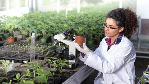 El asesor, “una figura clave que debe ser reivindicada y valorada por la sociedad”