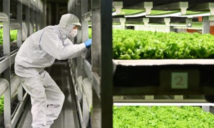 Nueva reglamentación europea en el uso de luz artificial