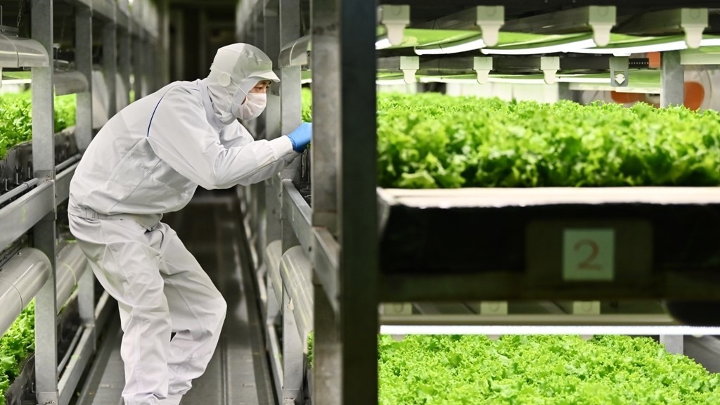 Nueva reglamentación europea en el uso de luz artificial