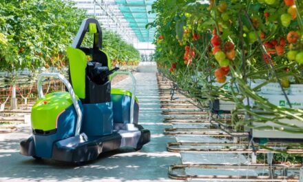 Gemelos digitales creados con IA para una agricultura más precisa