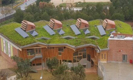 El sistema de cubierta ajardinada PR-SOLAR es idóneo para la instalación de plantas fotovoltaicas