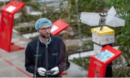 El primer invernadero con conexión 5G ya es una realidad