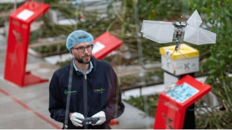 El primer invernadero con conexión 5G ya es una realidad