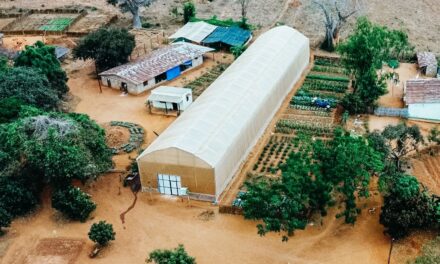 Inauguran un invernadero solidario y potabilizadora para la formación de jóvenes en Mozambique