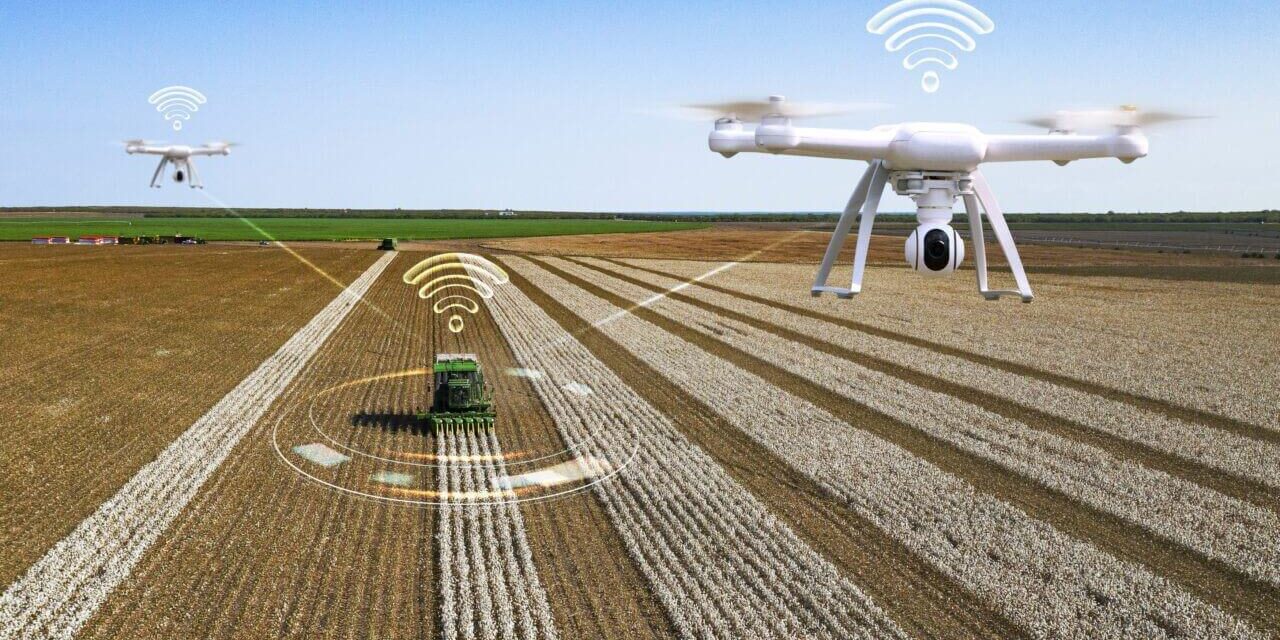 ¿Cómo viene afrontando la agricultura el impacto del IoT?
