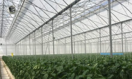 Biorete® Air Plus, la solución para inviernos más cálidos e insectos más agresivos