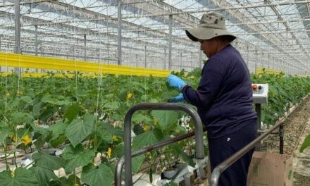 GreenTech Americas 2024 cultivates success in controlled environments