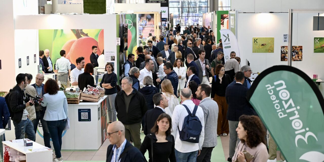 Macfrut 2024: innovación y sostenibilidad son los ejes de un programa lleno de eventos