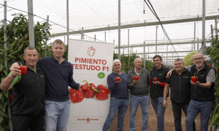 Testudo F1, un productivo California rojo con resistencia a oídio para ciclo tardío