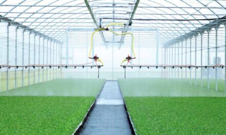 MOSAGREEN, tecnología de punta al servicio de viveros y semilleros