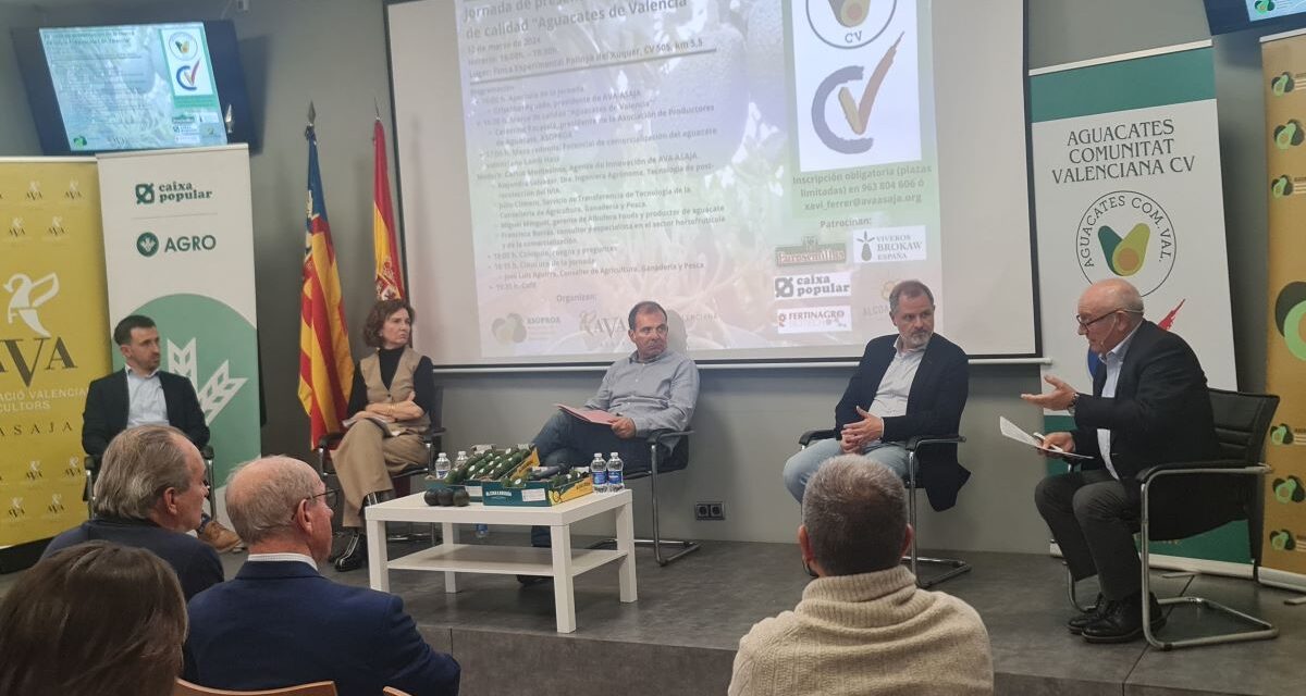 Desafíos del aguacate en Valencia