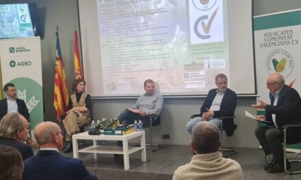 Desafíos del aguacate en Valencia