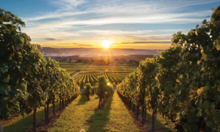 Biolchim, bioestimulantes especiales