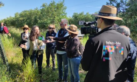 Proyecto TIC4BIO, uso eficiente del agua e incremento de la biodiversidad