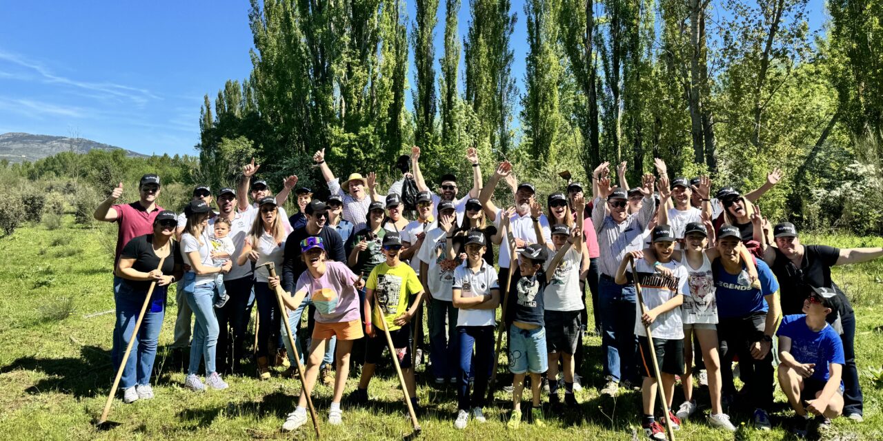 Kubota España y sus empleados cultivan un futuro sostenible: Reforestación en acción