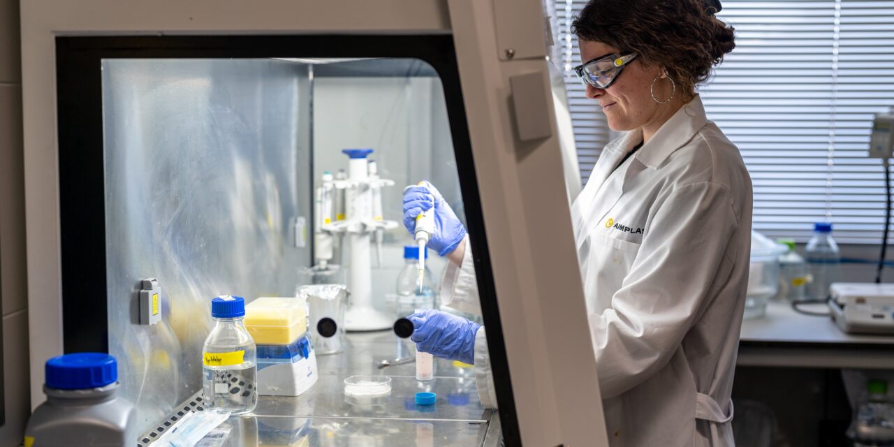 AIMPLAS incorpora microorganismos en productos de plasticultura para mejorar la eficiencia de los cultivos y reducir los fertilizantes químicos