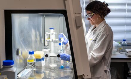 AIMPLAS incorpora microorganismos en productos de plasticultura para mejorar la eficiencia de los cultivos y reducir los fertilizantes químicos