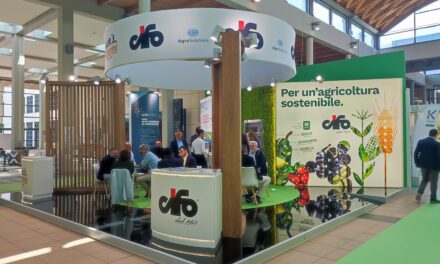 NOV@, una gran solución de Biolchim para aumentar el enraizamiento