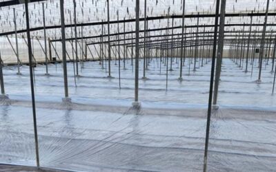 La regeneración del suelo y la solarización con Solmax