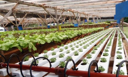 Primer congreso argentino de hidroponia